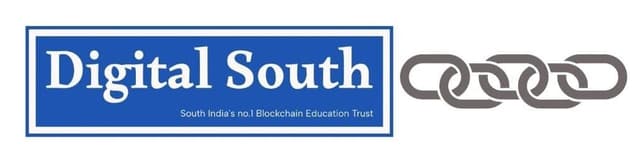 Digital South Logo